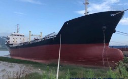 方便旗船舶进口如何操作？