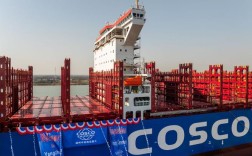 中远船舶研究所，聚焦哪些船舶科技研究？