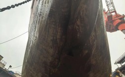 舰船球鼻艏有什么用