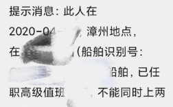 船舶公司资历查询系统怎么用？