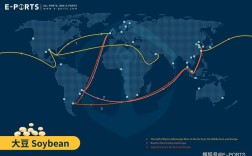 如何高效经营船舶国际航线？
