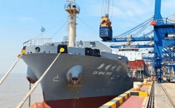 浙江宁波造船厂数量有多少？