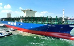 中远船舶总吨位具体是多少？