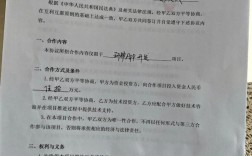 合作造船投资协议，双方如何权责共担？