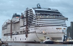 地中海号集装箱轮船有何特别之处？