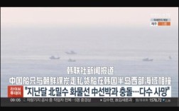 船舶新闻报道聚焦哪些关键信息？