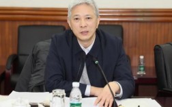 中国船舶 董事长