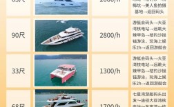 动力定位船舶租赁价格如何？