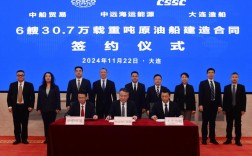 大连国际船舶公司简历有何亮点？