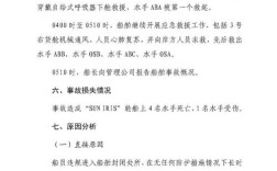 船舶风险报告的核心隐患是什么？