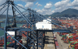 综合港船舶动态最新情况如何？