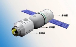神飞船舶骨干分布具体指哪些岗位与人员？