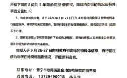 武汉船舶拍卖，哪些细节值得关注？