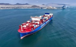 公司管理船舶数量为何持续增加？