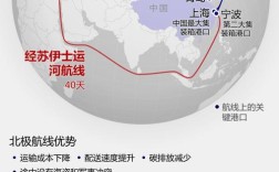 中国船舶运输网提供哪些服务？