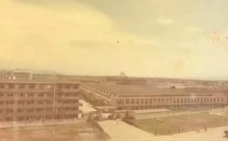 西江造船有限公司图片展示哪些内容？