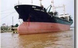 靖江新世纪造船于何时成立？