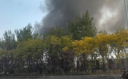 天津新港在建船舶为何突然着火？