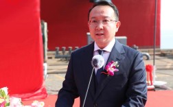 滚装船舶分哪些类型？