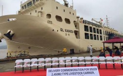 舟山常石造船订单量为何大幅增长？