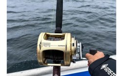 钓金枪鱼渔船多少钱一艘