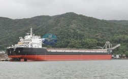 张家港沙钢船舶有何独特优势？