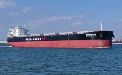 神华501船舶有何特别之处？