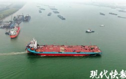 轮船为何要装网？