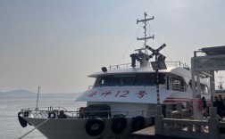 舜天船舶为何紧急停牌？