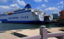 船舶指定人DP是什么？