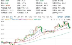 太平洋造船集团股票