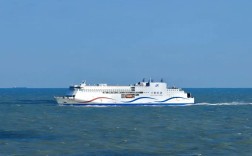 中韩香雪兰造船合作前景如何？