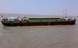 武汉CNG船舶的发展现状如何？