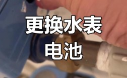 有了bwms怎么更换压载水