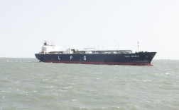 vlgc船舶参数具体包含哪些关键指标？