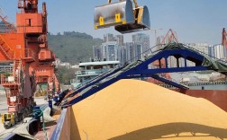 船舶卸谷物的具体流程是怎样的？