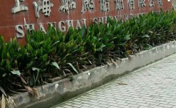 上海船厂船舶公司现状如何？