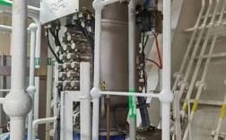 船舶压载水排压有何环境风险？