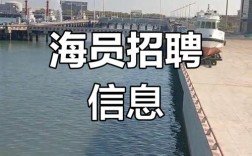 船舶英才网招聘哪些岗位？