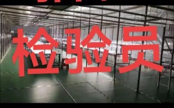 舟山船舶检验招聘有何要求？