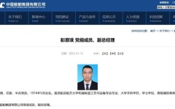 中国船舶集团副总有何新动向或职责？