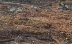 武昌造船厂为何要搬迁？