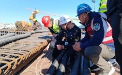 大连船舶重工集团监察有何新动向？