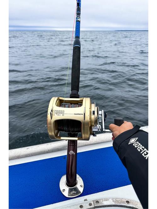 钓金枪鱼渔船多少钱一艘-图1