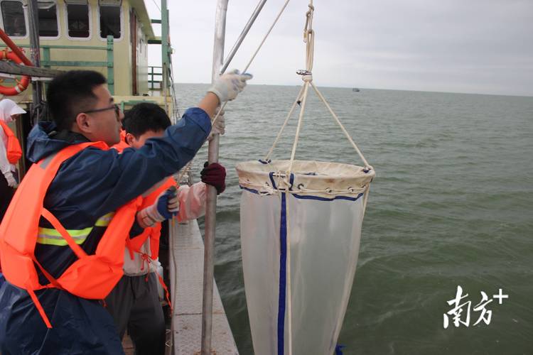 上海海洋工程师做什么-图2