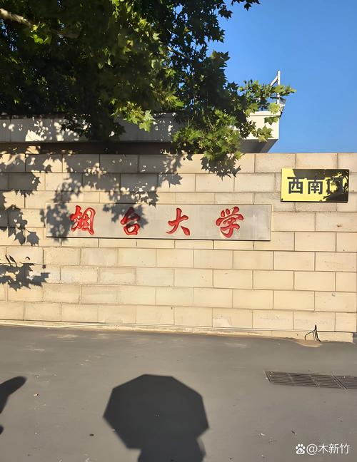 船漏油轮机长什么责任-图3 船漏油轮机长什么责任-图3