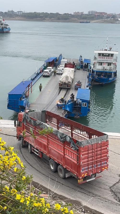 中波长江轮运什么货-图2