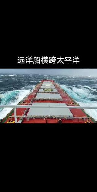 20万吨船值多少钱-图2