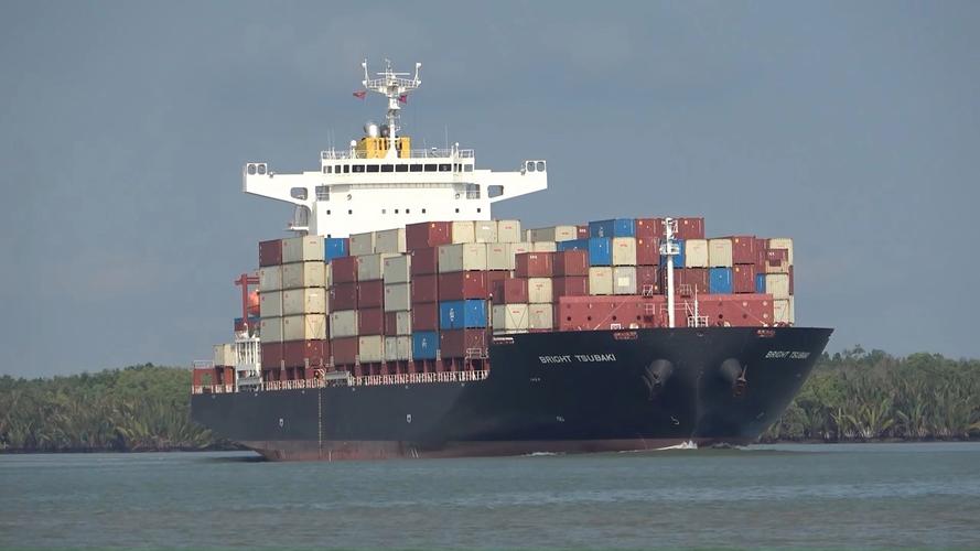 怎么查集装箱的船-图1