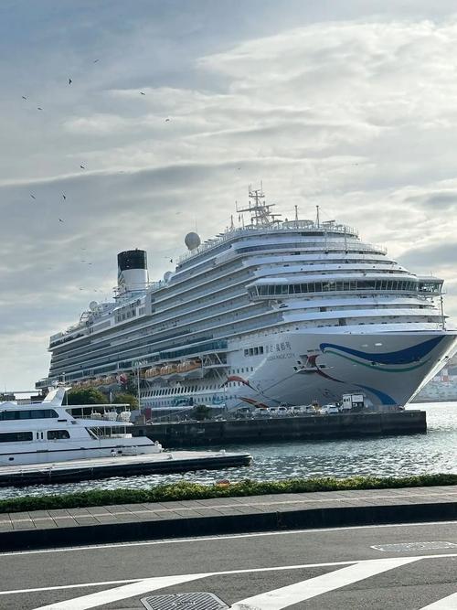 什么是纽卡斯尔型船-图3